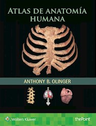 E-book Atlas De Anatomía Humana