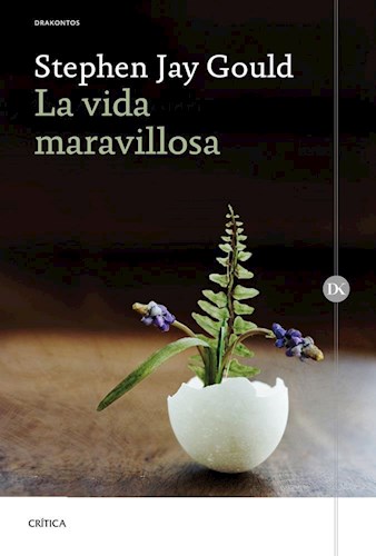 Papel VIDA MARAVILLOSA (DRAKONTOS)