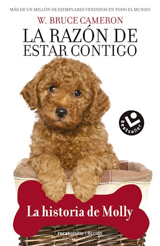 Papel HISTORIA DE MOLLY, LA. LA RAZON DE ESTAR