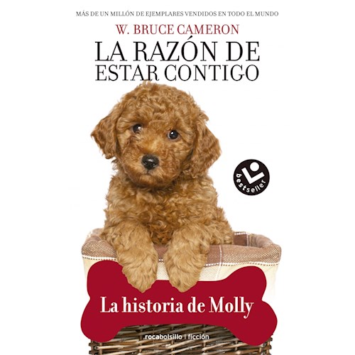 Papel HISTORIA DE MOLLY, LA. LA RAZON DE ESTAR
