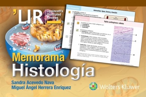 E-book Memorama. Histología