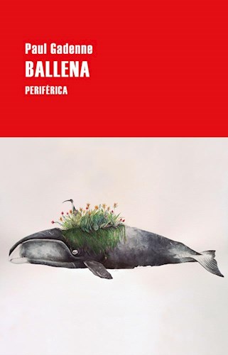 Papel BALLENA (COLECCION SERIE MENOR 2)
