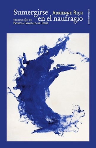 LIBRO SUMERGIRSE EN EL NAUFRAGIO
