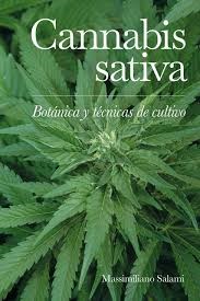 Papel CANNABIS SATIVA