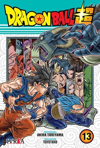 Papel Dragon Ball Super Vol.13