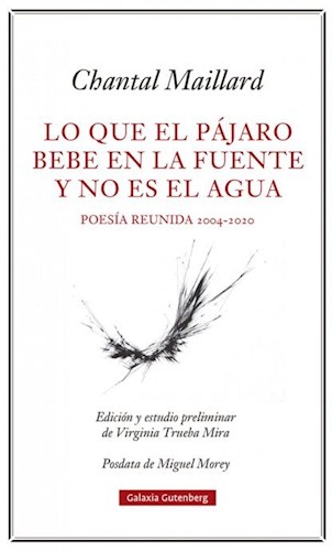 Papel LO QUE EL PAJARO BEBE EN LA FUENTE Y NO ES EL AGUA (POESIA REUNIDA 2004-2020) (CARTONE)