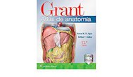 Papel Grant. Atlas De Anatomía Ed.15