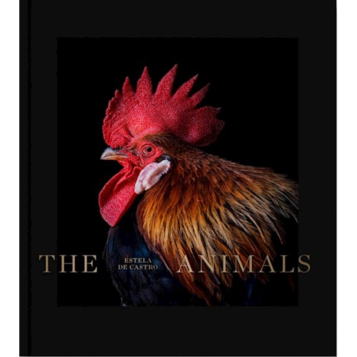 Papel THE ANIMALS