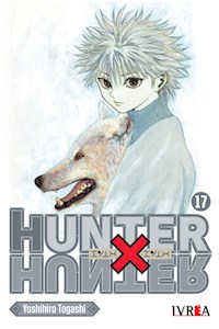 Papel Hunter X Hunter 17