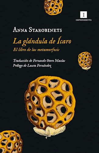 Papel GLANDULA DE ICARO