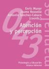 Papel ATENCION Y PERCEPCION (COLECCION MANUALES 43)
