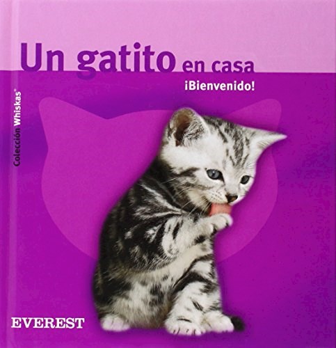 Papel GATITO EN CASA BIENVENI-WHISKA