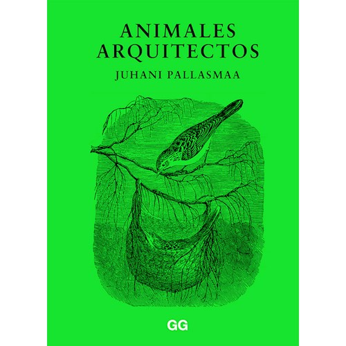 Papel ANIMALES ARQUITECTOS