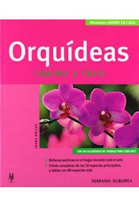 Papel Orquideas Rapido Y Facil