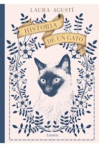 Papel Historia De Un Gato