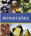 Papel Atlas Ilustrado De Los Minerales