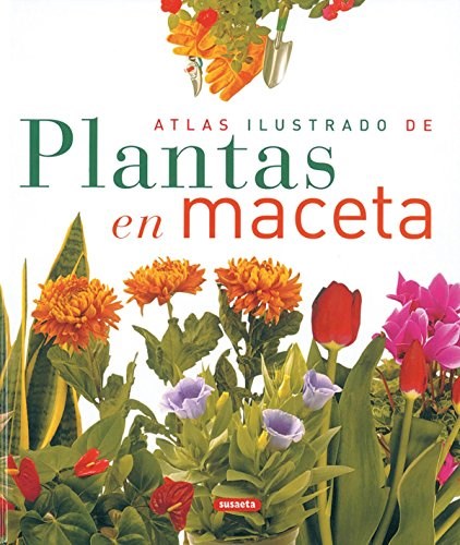 Papel Atlas Ilustrado De Plantas En Maceta