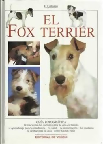 Papel Fox Terrier, El