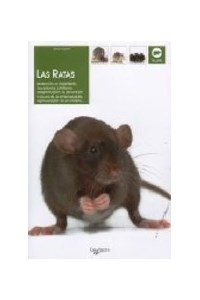 Papel Ratas ,Las