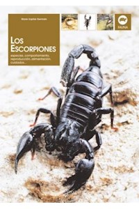 Papel Escorpiones . Especies, Comportamiento, Reproduccion, Alimentacion ,Los