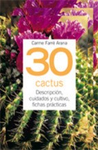Papel 30 Cactus