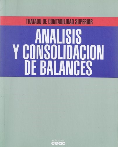 Papel Analisis Y Consolidacion De Balances