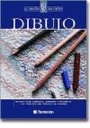 Papel DIBUJO METODO PARA APRENDER DOMINAR Y DISFRUTAR (RINCON  DEL PINTOR) (CARTONE)