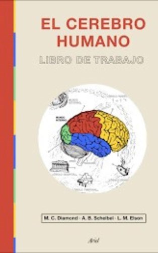 Papel CEREBRO HUMANO (LIBRO DE TRABAJO)