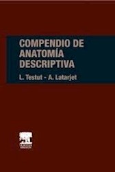 Papel Compendio De Anatomía Descriptiva Ed.22