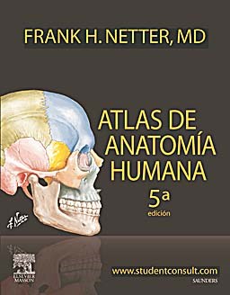 Papel Netter. Atlas de Anatomía Humana Ed.5