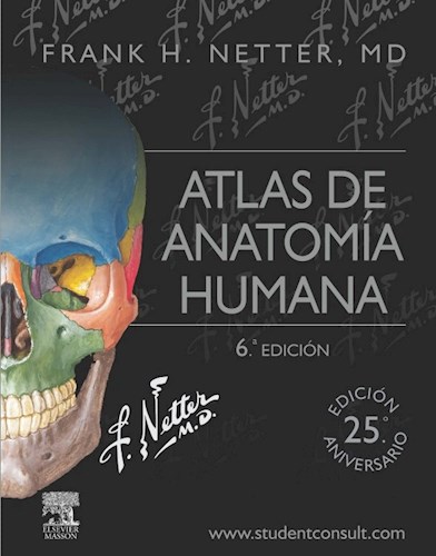 Papel Atlas De Anatomia Humana Netter 6º Ed.
