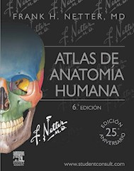 Papel Netter. Atlas De Anatomía Humana Ed.6º