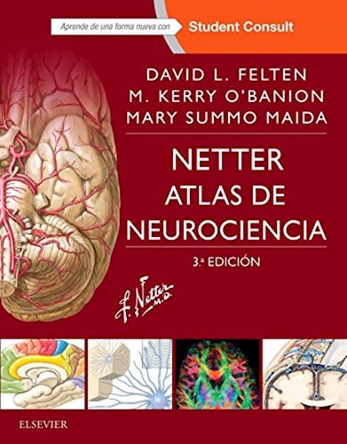 Papel Netter. Atlas de Neurociencia Ed.3
