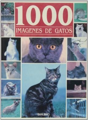 Papel 1000 Imagenes De Gatos