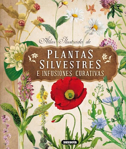 Papel Atlas Ilustrado De Plantas Silvestres E Infusiones Curativas