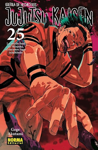 JUJUTSU KAISEN NORMA #25