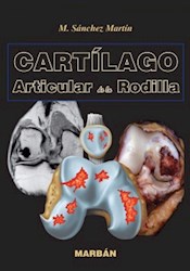 Papel Cartílago Articular De La Rodilla