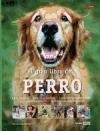 Papel GRAN LIBRO DEL PERRO CIUDADANO LAS RAZAS LOS CUIDADOS LAS ENFERMEDADES COMO ADIESTRARLO TECNICAS...