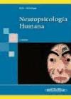 Papel NEUROPSICOLOGIA HUMANA (5/EDICION) (RUSTICA)