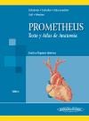 Papel PROMETHEUS TEXTO Y ATLAS DE ANATOMIA TOMO 2 CUELLO Y ORGANOS INTERNOS (CARTONE)