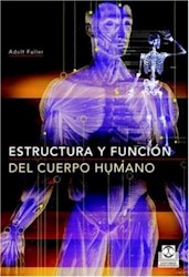 Papel Estructura Y Función Del Cuerpo Humano
