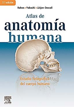  Atlas De Anatomía Humana  Estudio Fotográfico Del Cuerpo Humano