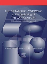 E-book The Metabolic Syndrome At The Beginning Of The Xxi Century