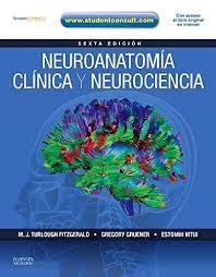 Papel Neuroanatomía Clínica y Neurociencia Ed.6