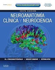 Papel Neuroanatomía Clínica Y Neurociencia Ed.6