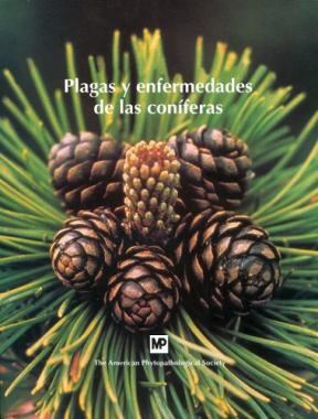 Papel PLAGAS Y ENFERMEDADES DE LAS CONIFERAS
