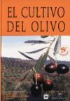 Papel CULTIVO DEL OLIVO (CARTONE)