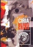 Papel CIRIA HEADS GRIDS
