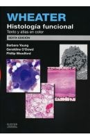 Papel Wheater. Histología Funcional Ed.6