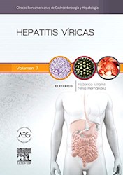 Papel Hepatitis Víricas: Clínicas Iberoamericanas De Gastroenterología Y Hepatología Vol. 7